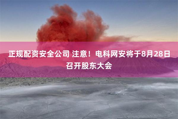 正规配资安全公司 注意！电科网安将于8月28日召开股东大会