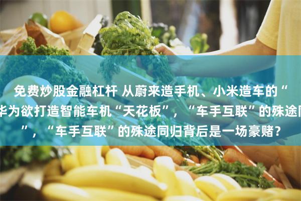 免费炒股金融杠杆 从蔚来造手机、小米造车的“外卷”故事说开去：华为欲打造智能车机“天花板”，“车手互联”的殊途同归背后是一场豪赌？