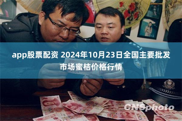 app股票配资 2024年10月23日全国主要批发市场蜜桔价格行情