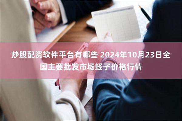 炒股配资软件平台有哪些 2024年10月23日全国主要批发市场蛏子价格行情