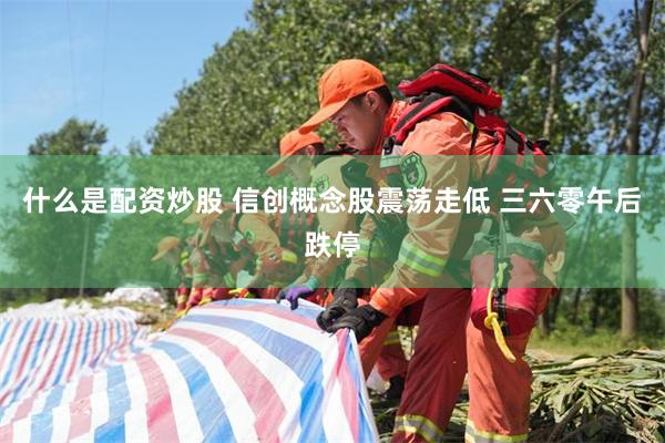 什么是配资炒股 信创概念股震荡走低 三六零午后跌停