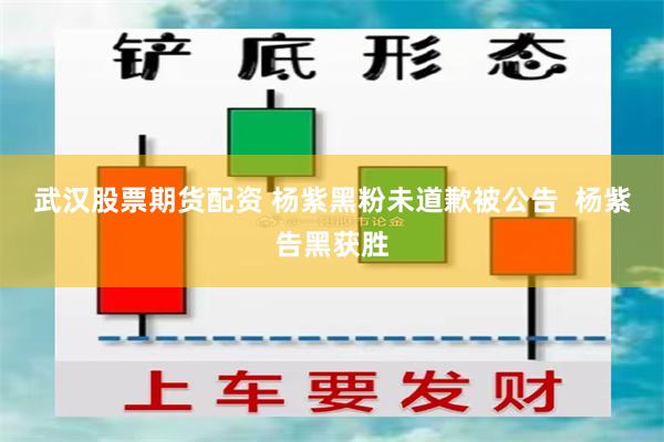 武汉股票期货配资 杨紫黑粉未道歉被公告  杨紫告黑获胜