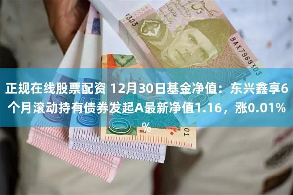 正规在线股票配资 12月30日基金净值：东兴鑫享6个月滚动持有债券发起A最新净值1.16，涨0.01%