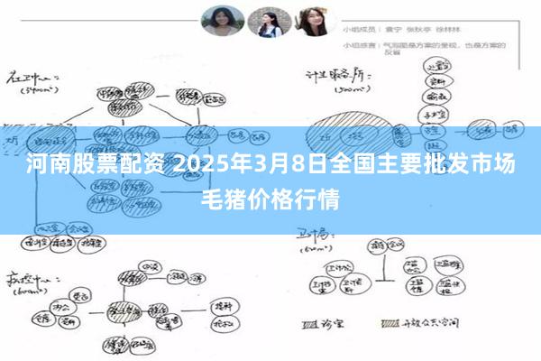 河南股票配资 2025年3月8日全国主要批发市场毛猪价格行情